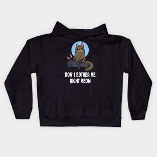 Don't Bother Me Right Meow   Funny Video Gamer & Cat Lover Kids Hoodie